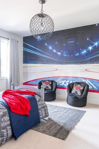 hockey1