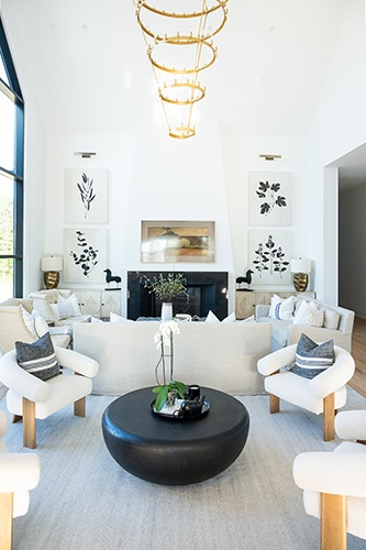 Luxurious Family Room
