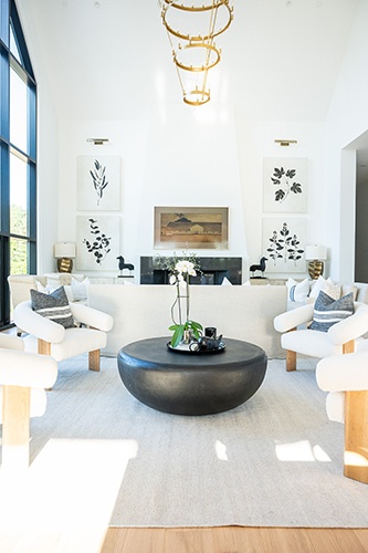 Luxurious Family Room