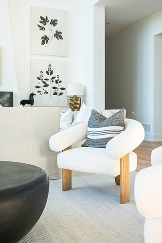 Luxurious Family Room
