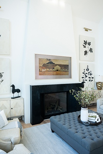Luxurious Family Room