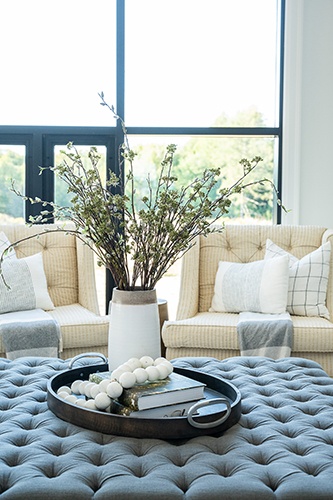 Luxurious Family Room