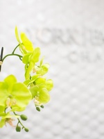 York Family Law