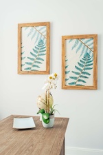 study house1