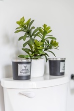 bathroom farmhouse