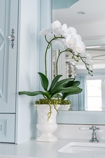 Blue Bathroom