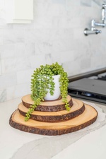 2022 kitchen William Allin