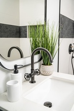 Black and White Bathroom