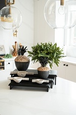 Beautiful Kitchen